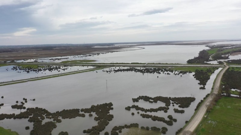 Kızılırmak Deltası yeniden suyla doldu