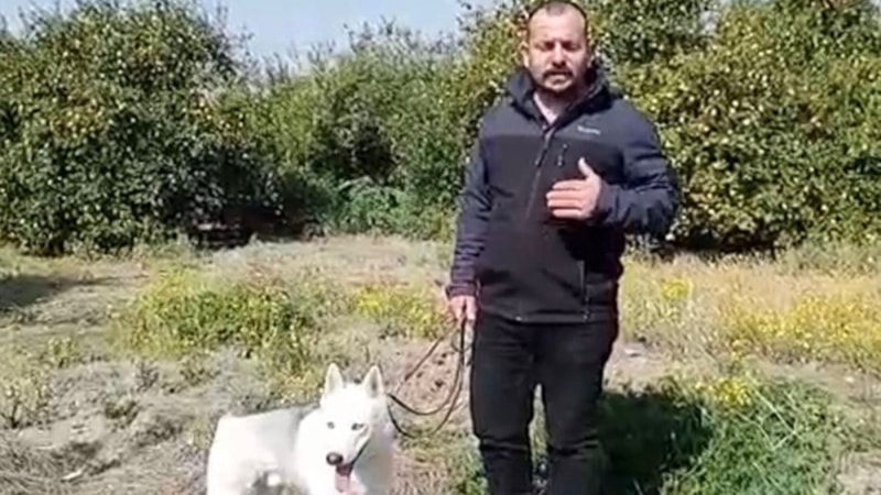 Hataylı depremzede konteyner almak isterken dolandırıldı