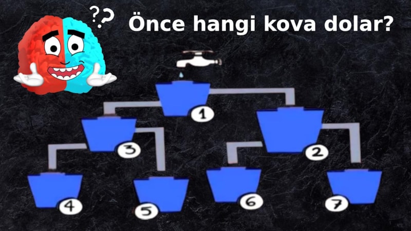 Su kovalarından önce hangisi dolar? Zeki olan 1 dakikada buluyor! Peki sen bulabilecek misin?