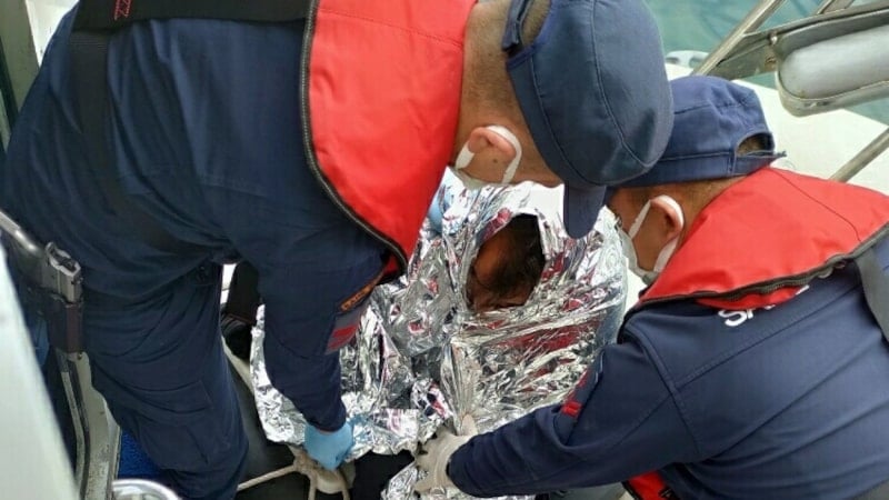 Çanakkale açıklarından Yunanistan'a yüzerek geçmek istedi! Kaçak göçmen kurtarıldı