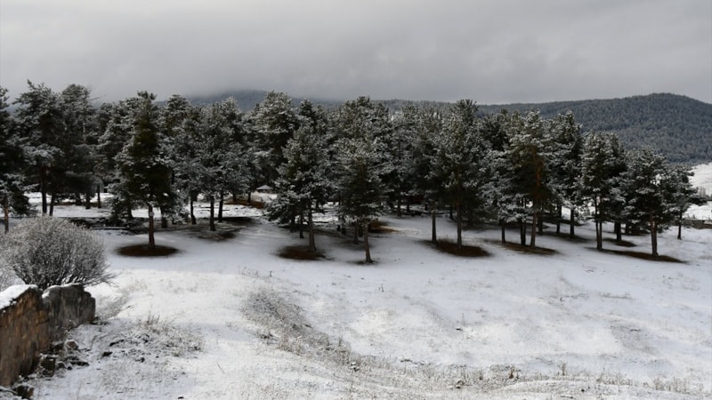 Yurdun doğusuna bahar gelmedi! Kars ve Ardahan kara teslim oldu
