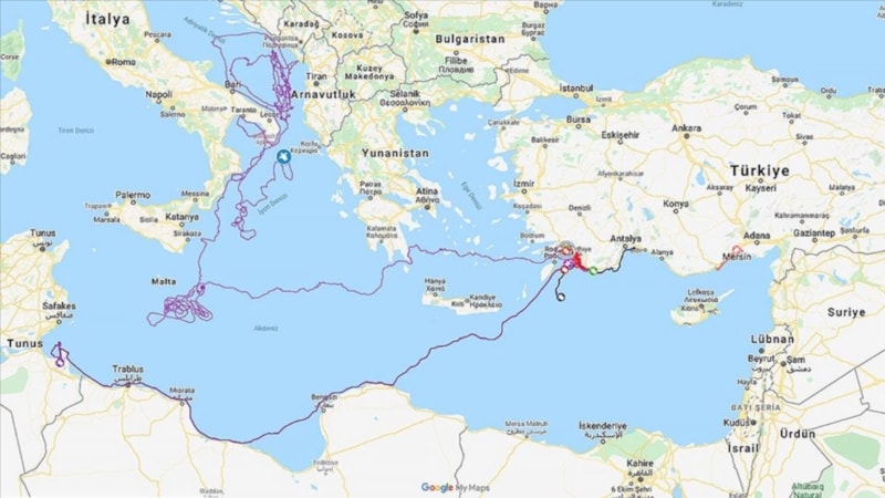 Muğla'da denize bırakılan ‘caretta caretta Tuba’ 20 bin kilometre yol gitti