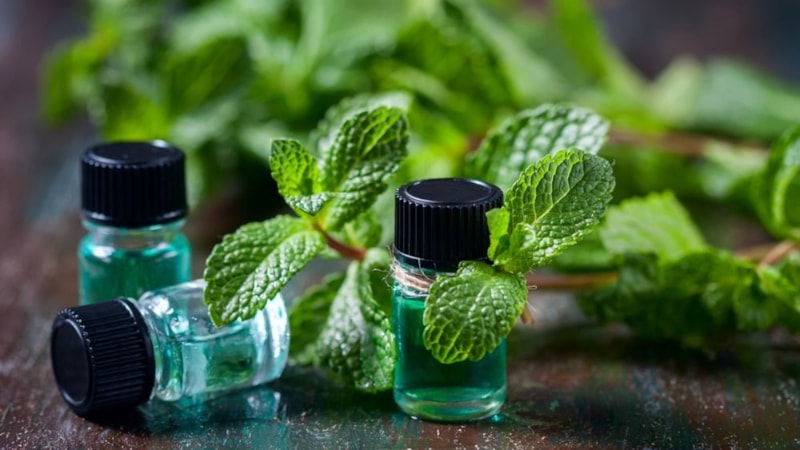 Oruç sonrası baş ağrısını geçiren karışım! 1 bardak içen kurtuluyor...