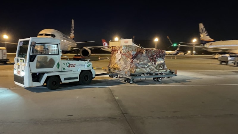 ABD'de ele geçirilen tarihi eserler Türkiye'ye getirildi