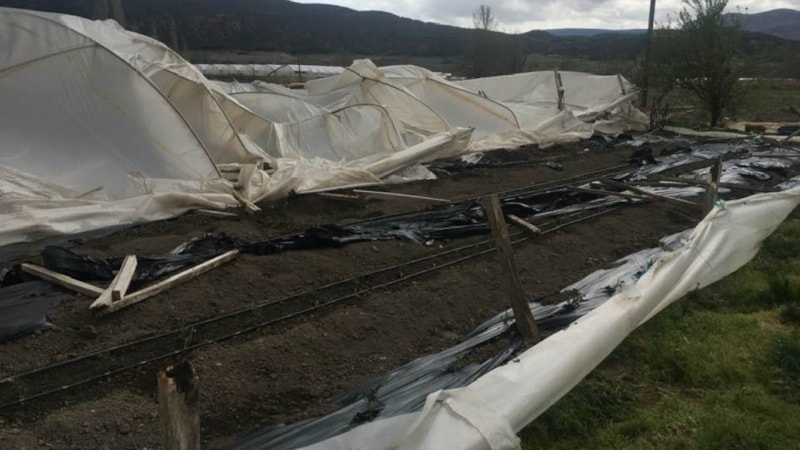 Amasya'daki fırtına sonrasında seralar zarar gördü