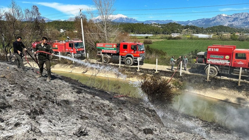 Antalya'da portakal bahçesinde temizlik yapmak istedi! 3 dekar ormanlık alan yandı