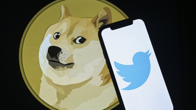 Elon Musk, Twitter'ın logosunu değiştirdi! Yeni logoda Dogecoin yer alacak