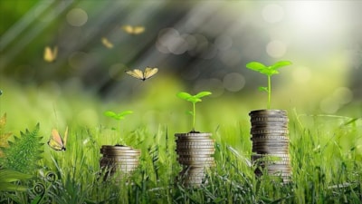 Hazine, ilk yeşil tahvil ihracını gerçekleştirdi