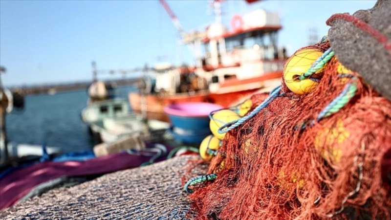 Akçakoca ve Amasra, balık sezonuna erken veda etti