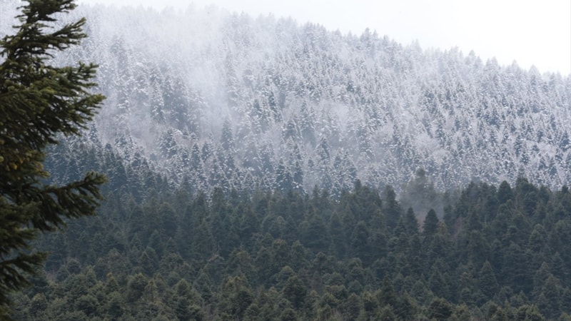 Bolu'da nisan karı, görsel şölen yaşattı