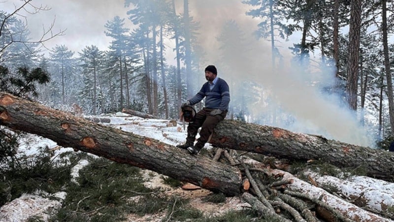 Kastamonu'da ormancıların zorlu mesaisi