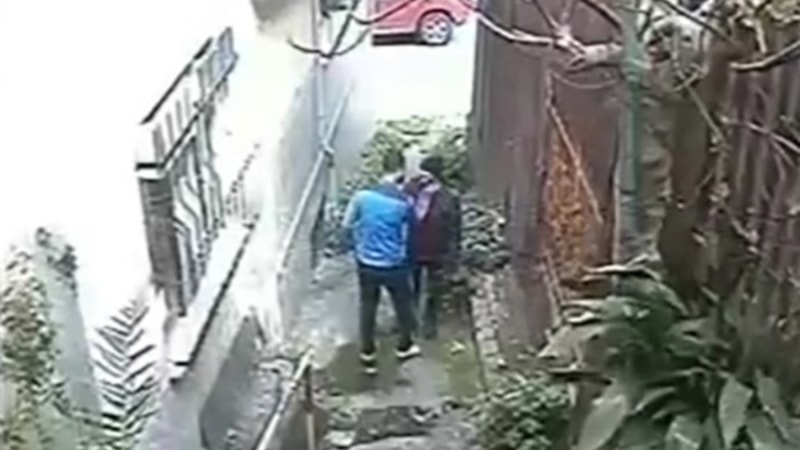 İstanbul'da köpeği havlaması hırsızı yakalattı: Ev sahibi tekme tokat dövdü