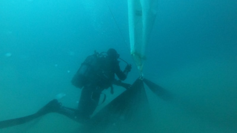 Denizler ve iç sular hayalet ağlardan temizleniyor