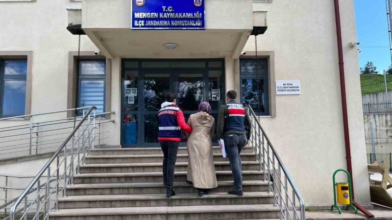 Bolu'da FETÖ operasyonu: 1 gözaltı