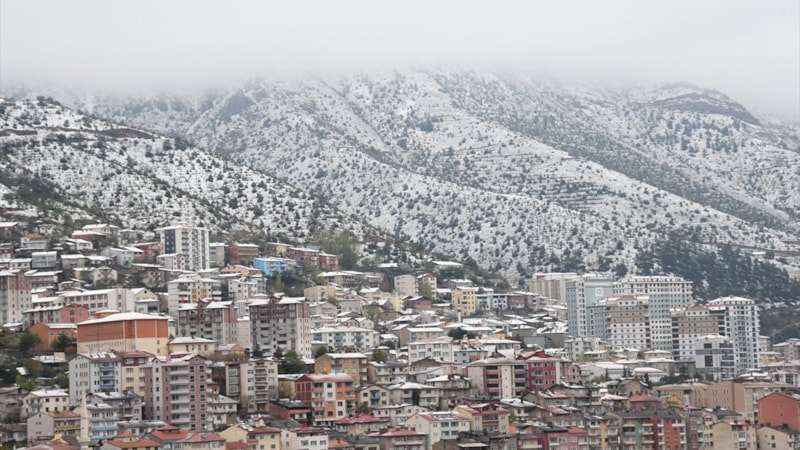 Trabzon ve Gümüşhane'de kar yağışı etkili oldu