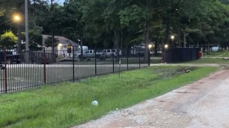 ABD'de bir eve silahlı saldırı