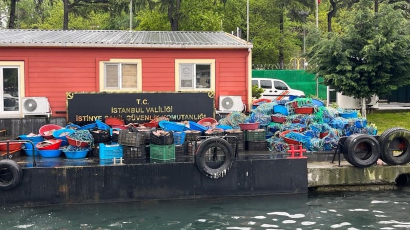 İstanbul'da ışıkları kapatarak kaçak avcılık yaptılar!  154 bin 296 TL para cezası