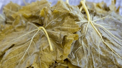 Sapına kadar mucize çıktı! Sararken çöpe atanlar 