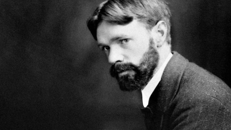 D. H. Lawrence'den çağının ötesinde cesarete sahip on dört dokunan öykü