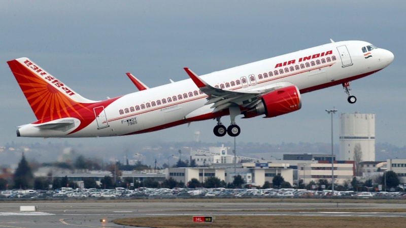 Hindistan'da uçakta panik: Yolcuyu akrep soktu