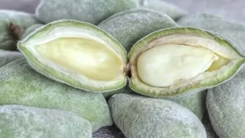 20 gününüz var, tezgahta görür görmez alın! Bağırsakları öyle bir çalıştırıyor ki...