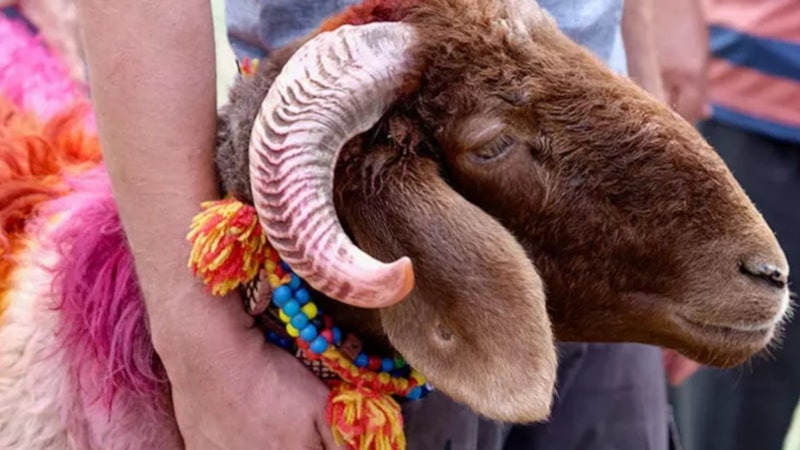 Kurban Bayramı tatili kaç gün? Kurban Bayramı tatil günleri 2023