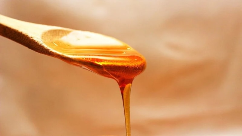 Türk balı ihracatçısına 4 ayda 13,5 milyon dolar kazandırdı