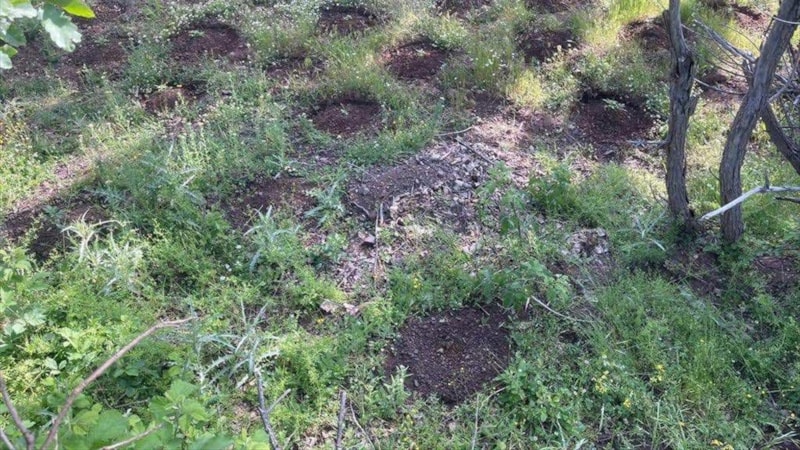 Bingöl'de toprağa gömülü patlayıcı madde bulundu