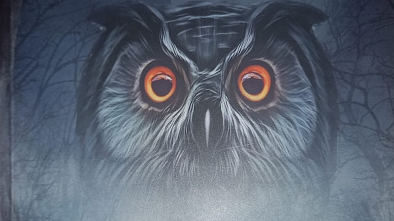 Okurken düşündüren, düşündürürken başka hayatlara sevk eden bir kitap: Mezarcı