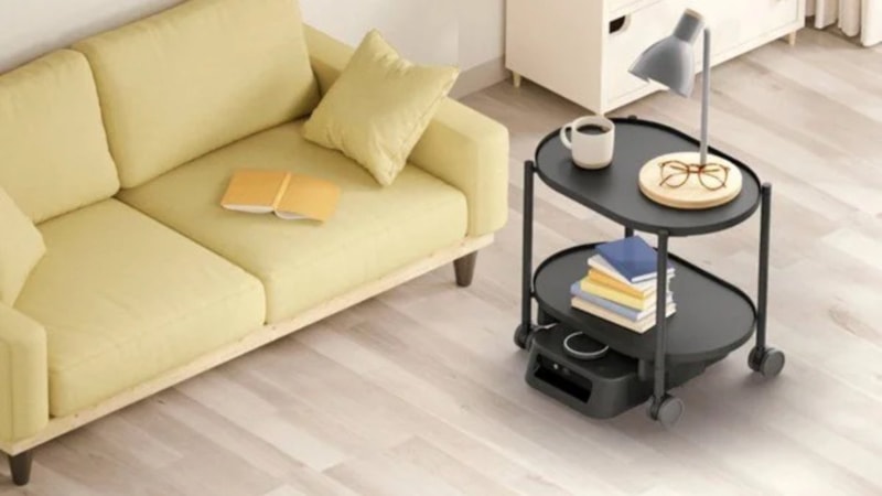 Japonya'da sözlü komutla eşya taşıyan ev robotu satışa çıktı