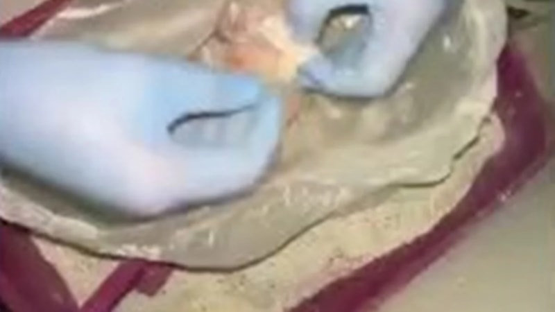 Diyarbakır'da kedi kumunda gizlenmiş uyuşturucu hap bulundu