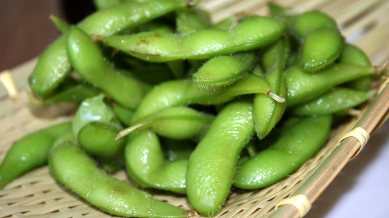 Doğal protein deposu.. Yeşil soya fasulyesinin saymakla bitmeyen mucizevi faydaları!