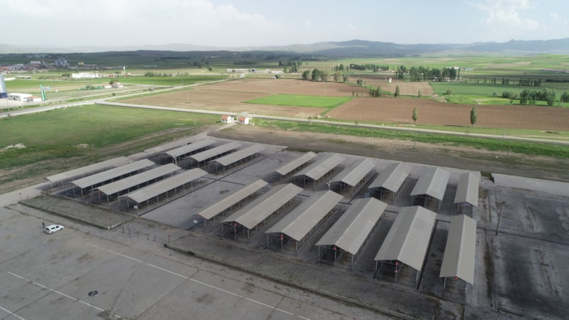 Kurban Bayramı öncesi Sivas'ta tüm hayvan pazarları kapatıldı