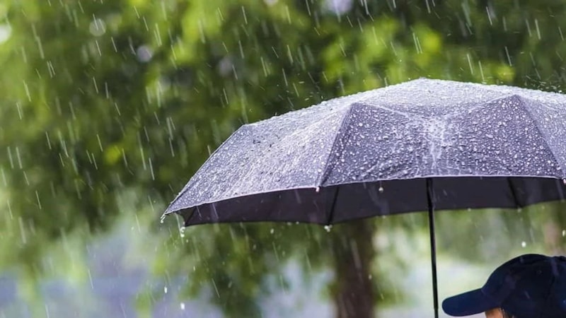 Meteoroloji'den sağanak yağış uyarısı: Günün hava raporu