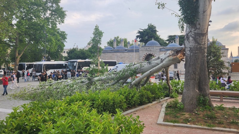İstanbul'da turist rehberinin üzerine ağaç devrildi