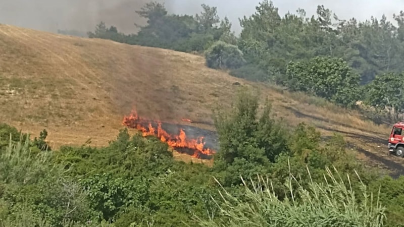 Adana'da anız yangını çevredeki ağaçlık alana sıçradı