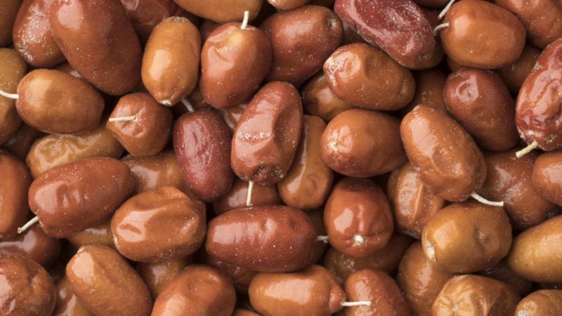 İğdenin faydaları nelerdir? İğde hangi hastalıklara iyi gelir?