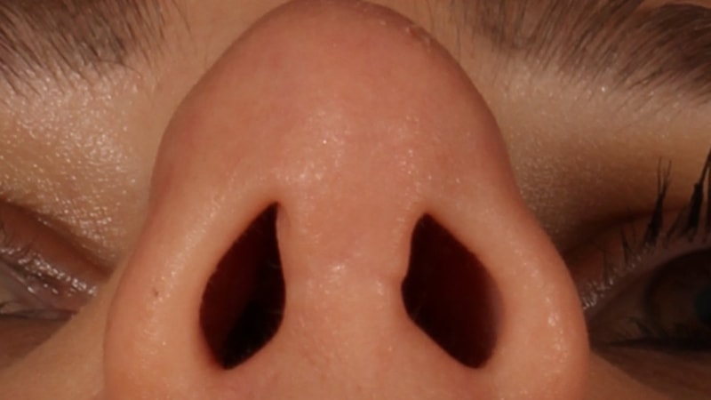 Sizde var mı: Jacobson organı nedir, nasıl anlaşılır? İşte 6. duyu organı