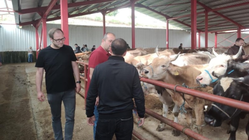 Kurban Bayramı öncesi hayvan pazarları denetleniyor