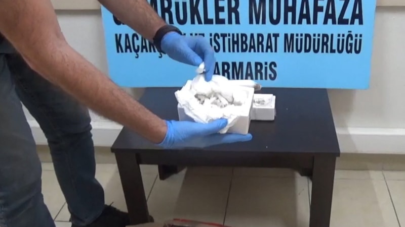 Polonya’dan yavru tarantula siparişi verdi, ‘biyoloji dersi için’ dedi