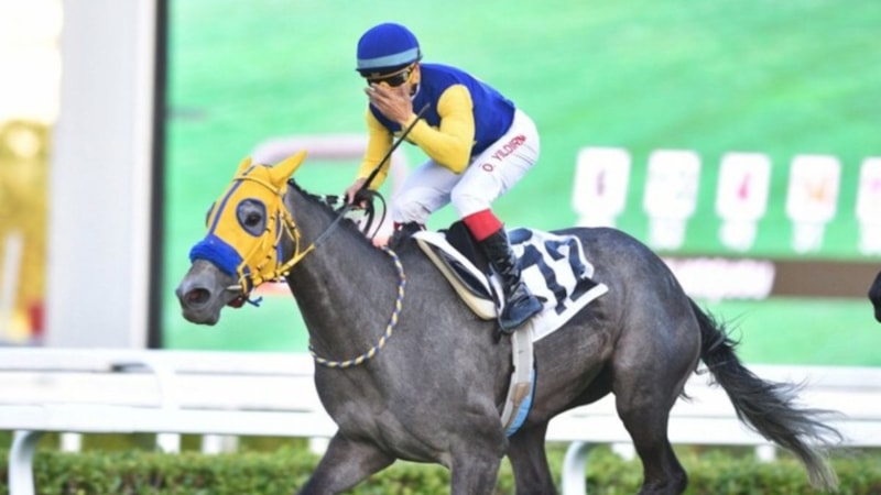 97. Gazi Koşusu'na kayıt yaptıran safkanlar belirlendi