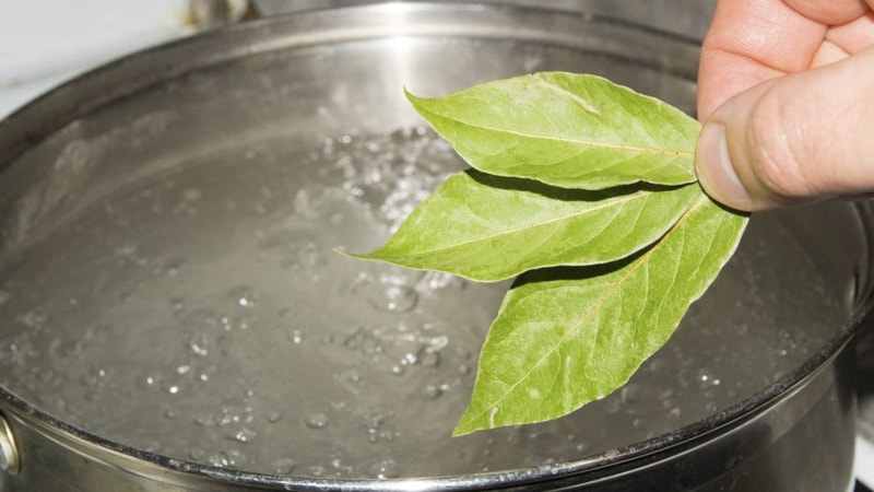 Defne yaprağı suyuna 10 dakika oturursanız...