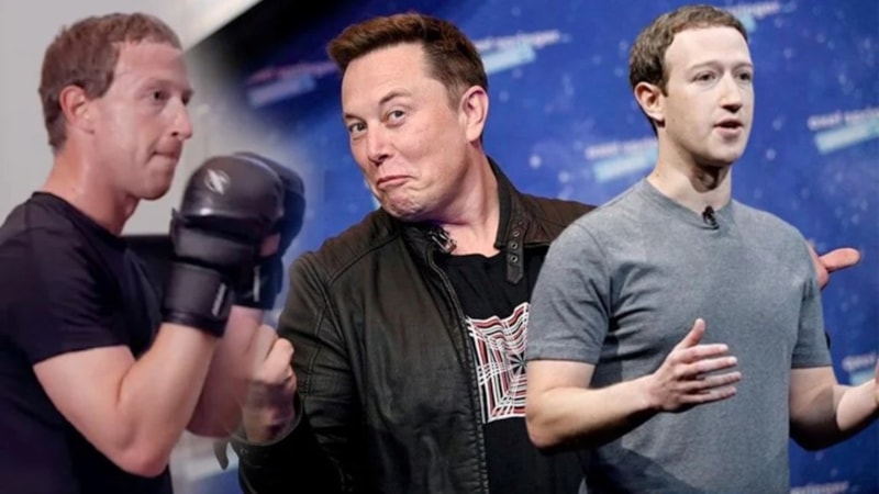 Elon Musk'ın kafes dövüşü teklifine Mark Zuckerberg'den yanıt! Konum at geliyorum