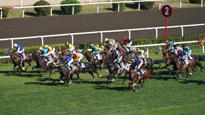 97. Gazi Koşusu ne zaman? 97. Gazi Koşusu ödülü ne kadar? Gazi Koşusu'nda hangi atlar yarışacak?