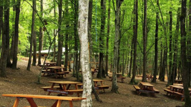 YANGIN YASAKLARI 2023: Belgrad Ormanı kapalı mı, giriş yasak mı? Bu tarihlere dikkat!