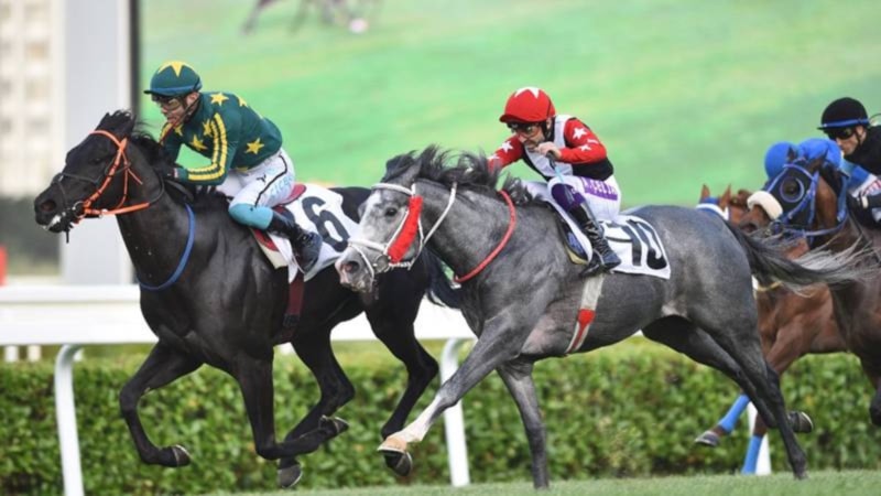 97. Gazi Koşusu ne zaman, saat kaçta ve hangi kanalda?