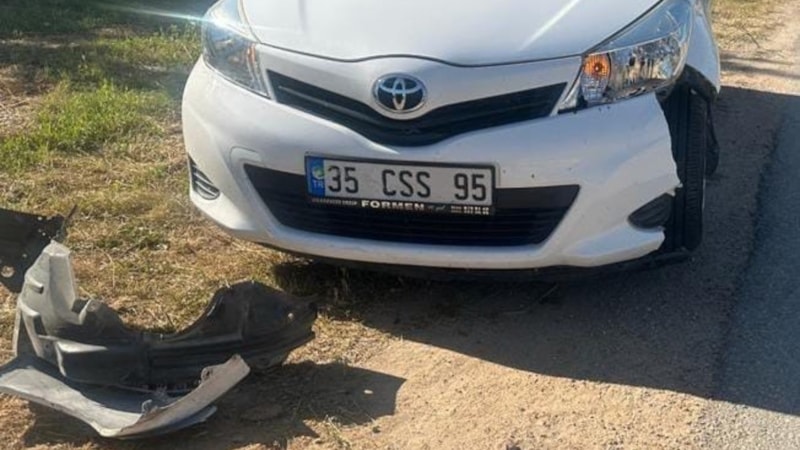 Afyonkarahisar'da yola aniden çıkan başıboş köpekler 2 ayrı kazaya sebep oldu