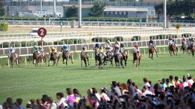 97'nci Gazi Koşusu'nu Urfa Aslanı kazandı