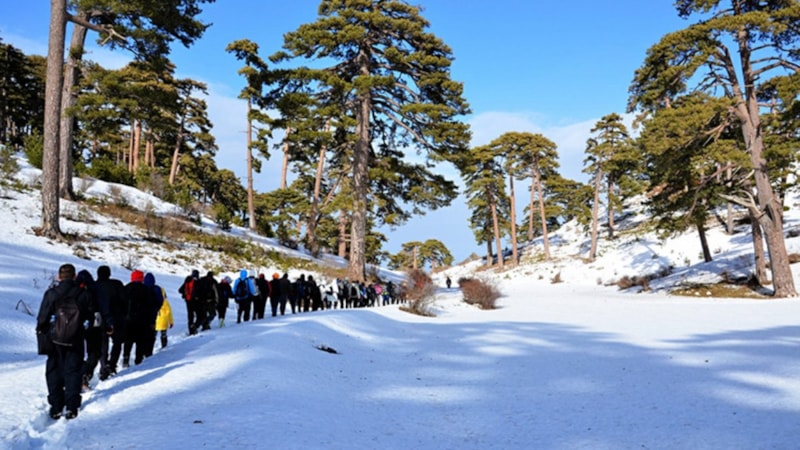 Ekoturizm kapsamında 89 rota, 4 milyon doğaseveri ağırladı