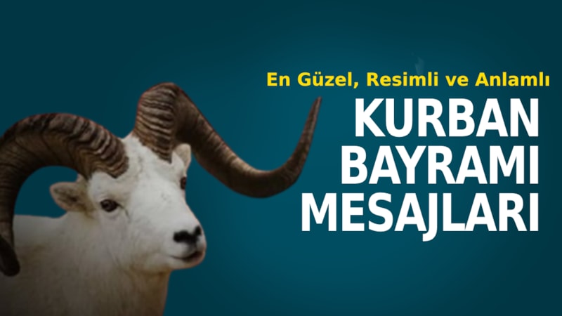 Sevdiklerinizin bayramını kutlayın! İşte en güzel ve etkileyici Kurban Bayramı mesajları 2023